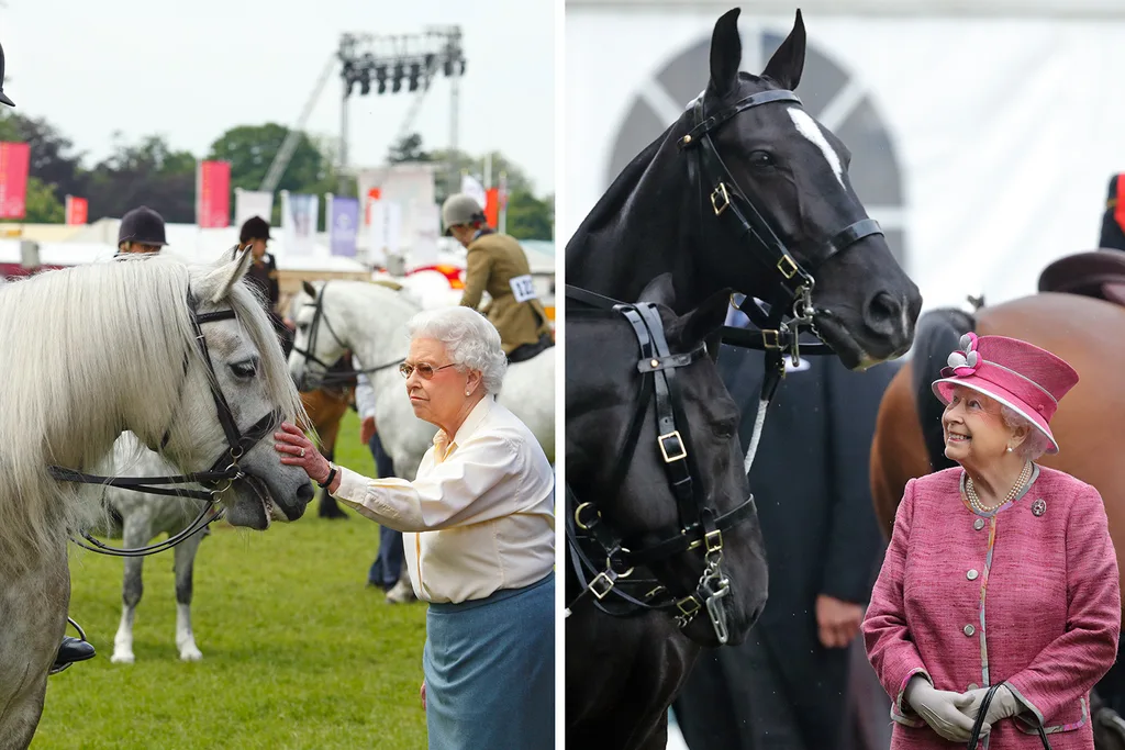 Queen Elizabeth II Princess Anne horse racing