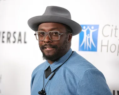 Fans slam Will.i.am for posting picture of ‘racist’ flight attendant in Sydney