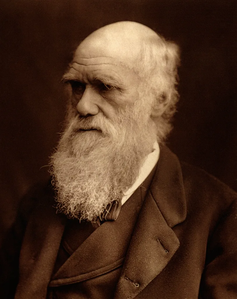 Darwin