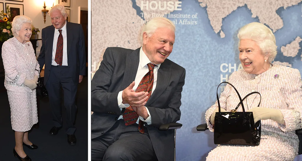 Queen Elizabeth reaction Prince Andrew steps down public duties Chatham House Prize David Attenborough