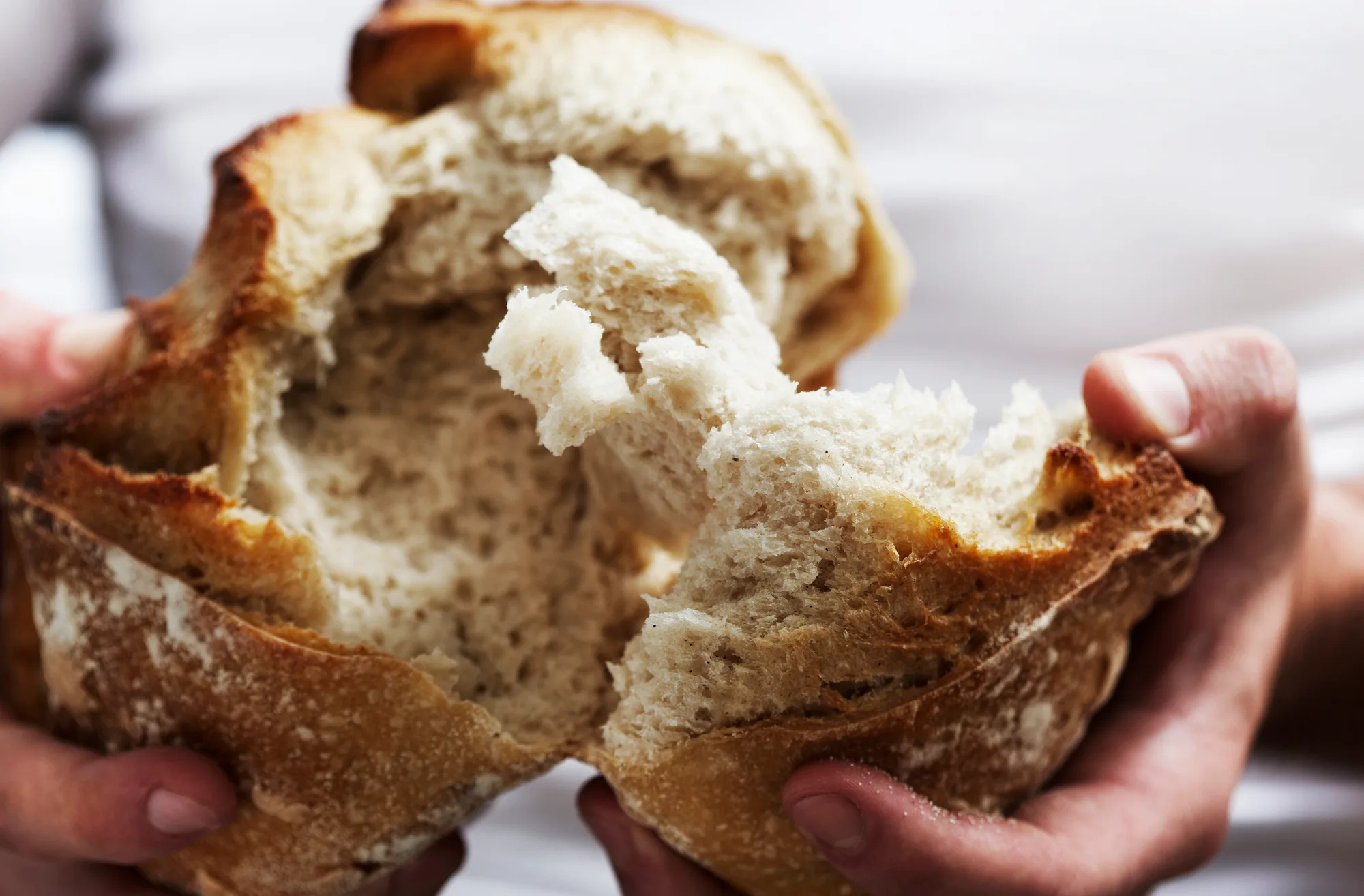 LowCalorie Bread Australia What Bread has the Lowest Calorie Count? New Idea