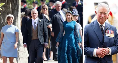 Prince Charles offered Prince Andrew job as aide