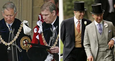 Prince Charles offered Prince Andrew job as aide