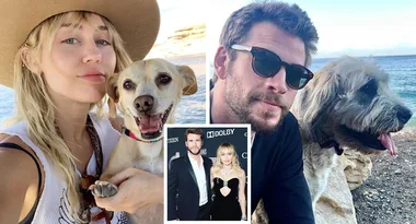 Miley Cyrus and Liam Hemsworth’s courtroom showdown