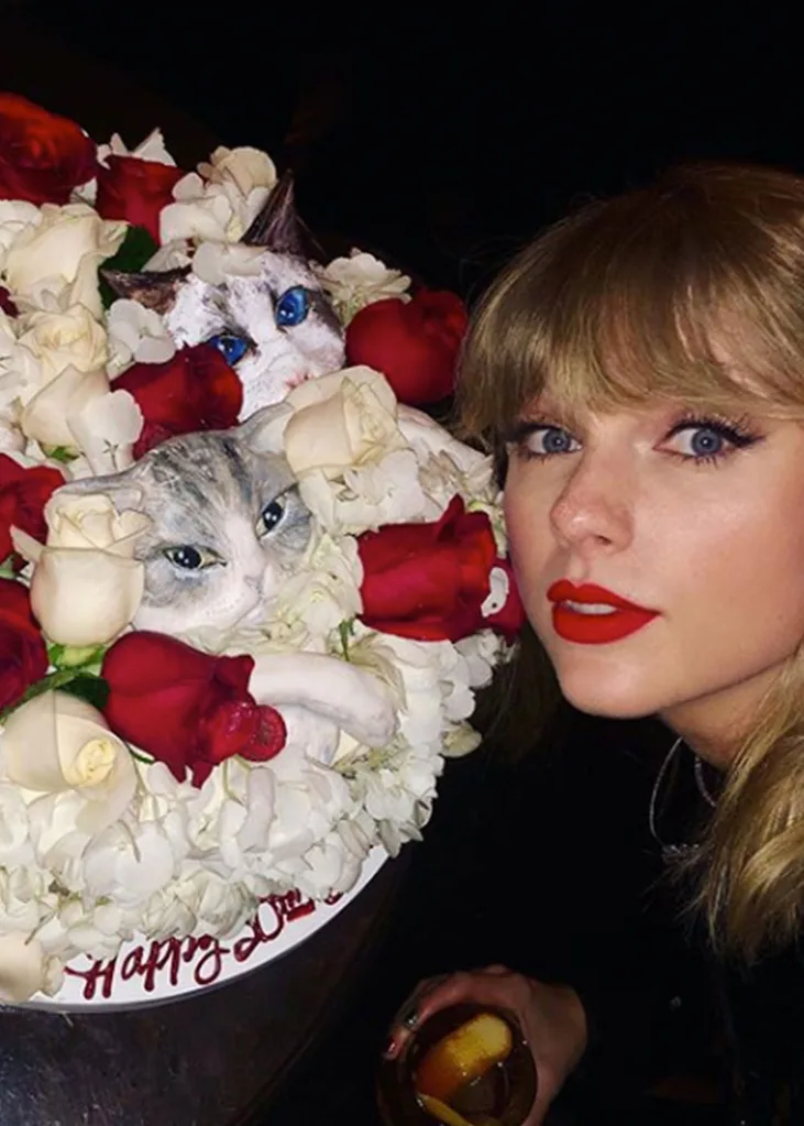 Taylor Swift Cats cake