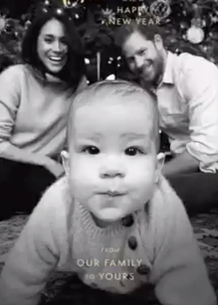 Sussex Christmas card