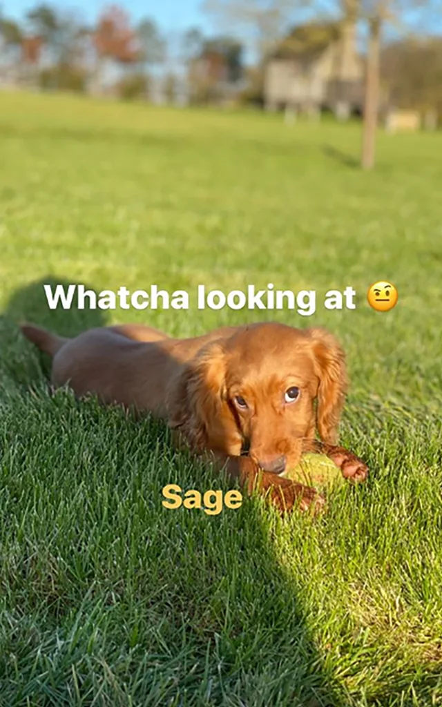 Sage Beckham