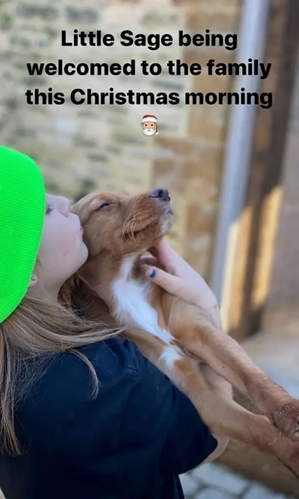 Harper and Sage