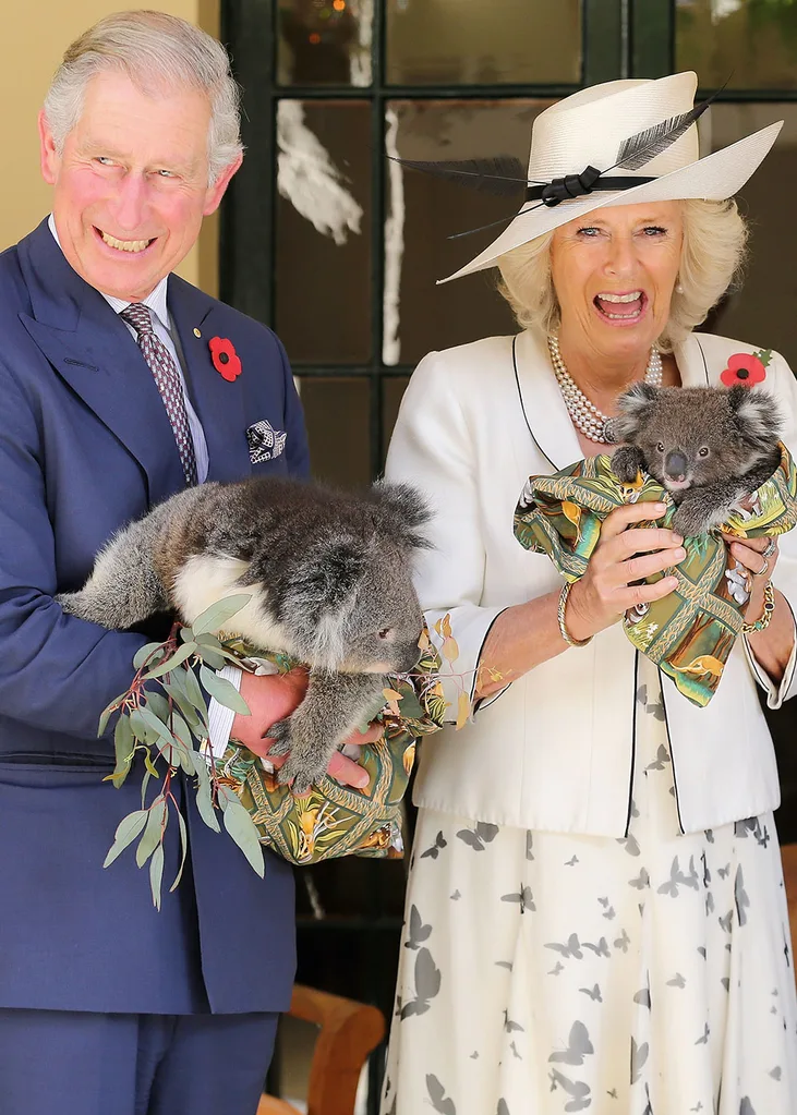 The Duke and Duchess of Cornwall laughing while being photographed holding two koalas during their 2012 visit to Australia.