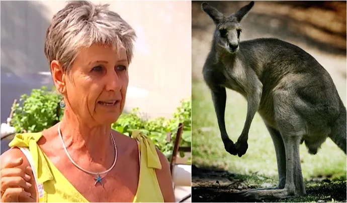 Queensland woman hospitalised after attack by hangry kangaroo in her own garden