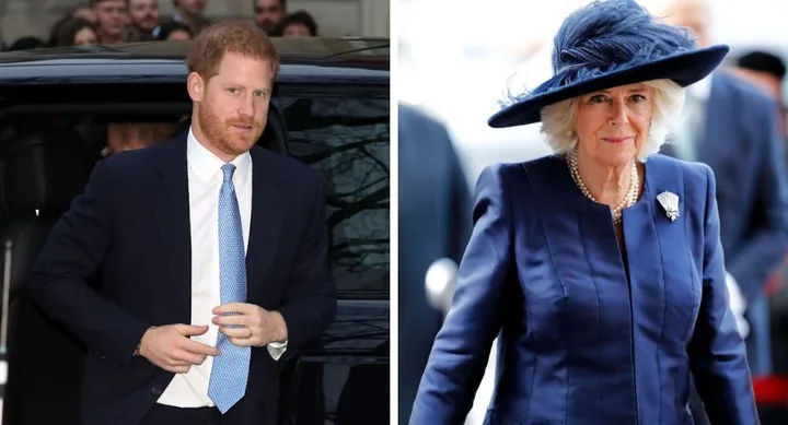 Camilla Harry