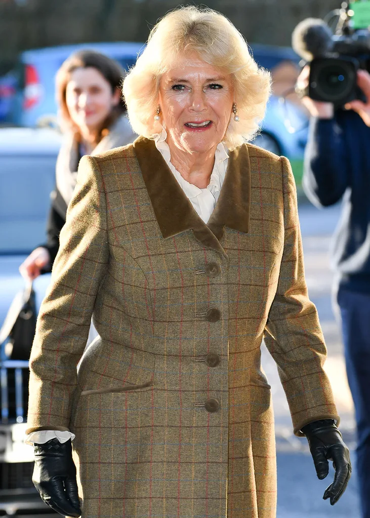 Camilla Parker Bowles Harry and Meghan