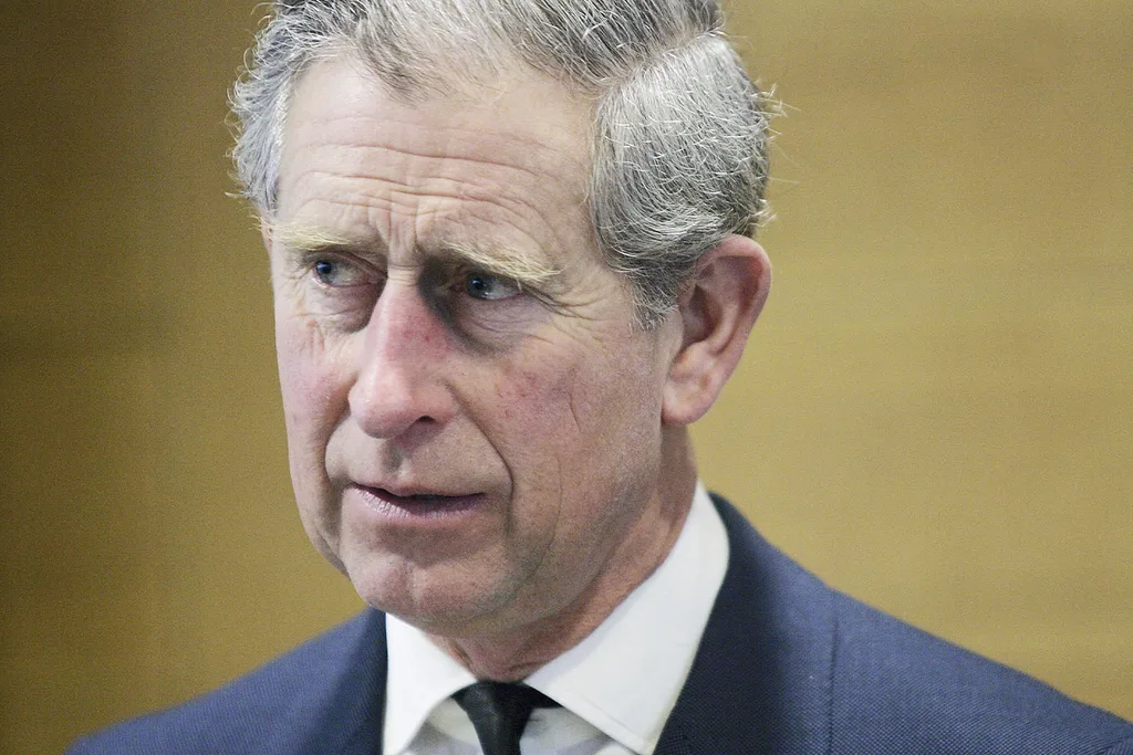 Prince Charles Harry and Meghan