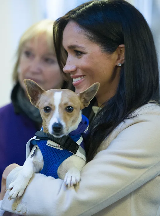 Meghan Markle