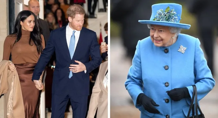 harry queen