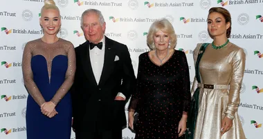 Prince Charles blasted over strange relationship with Katy Perry