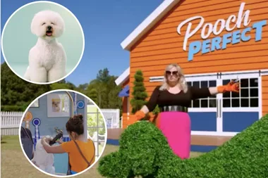 Pooch Perfect: Show-stopping shapes sheared and tears shed as Rebel gets punny