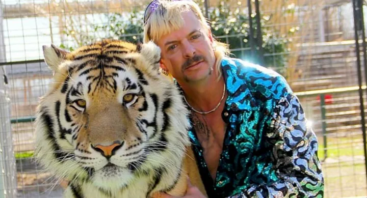 tiger king