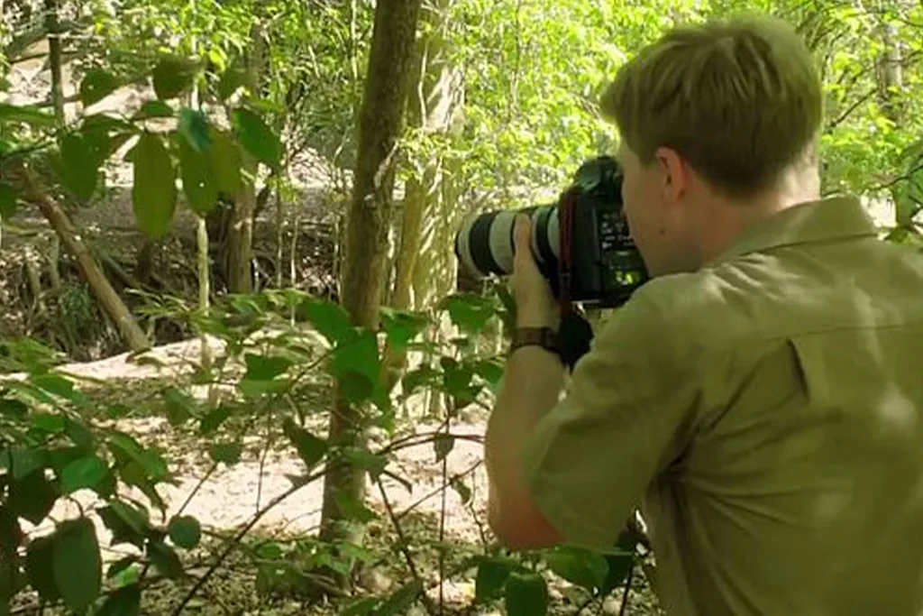 Robert Irwin