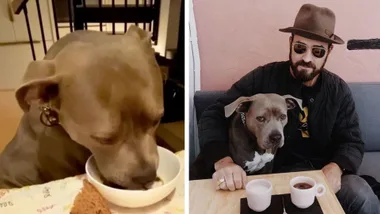 Justin Theroux prepares another candle-lit dinner for his dog