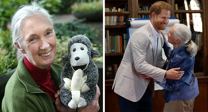 Harry and Dr Jane Goodall