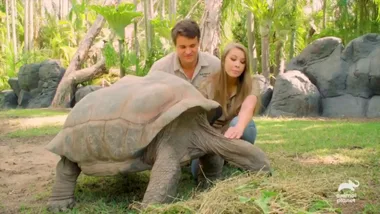 WATCH: Bindi Irwin gives sneak peek at wedding in emotional video