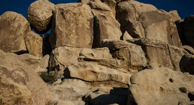 Can you spot the girl in this photo?