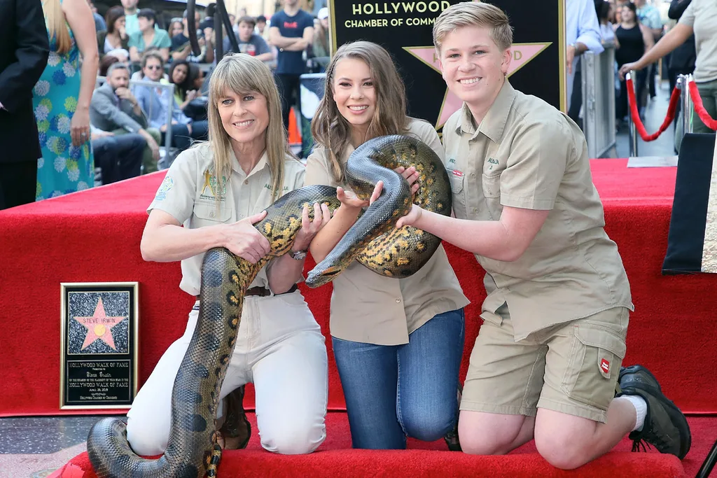 Robert Irwin