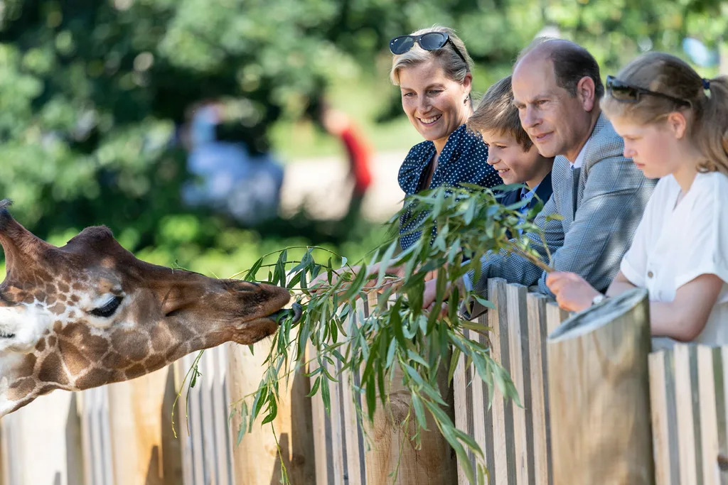 Sophie Wessex Harry and Meghan