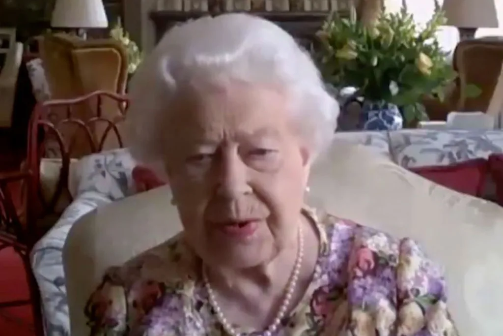 Queen Elizabeth Zoom call