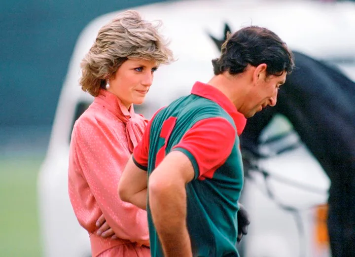 Princess Diana Prince Charles