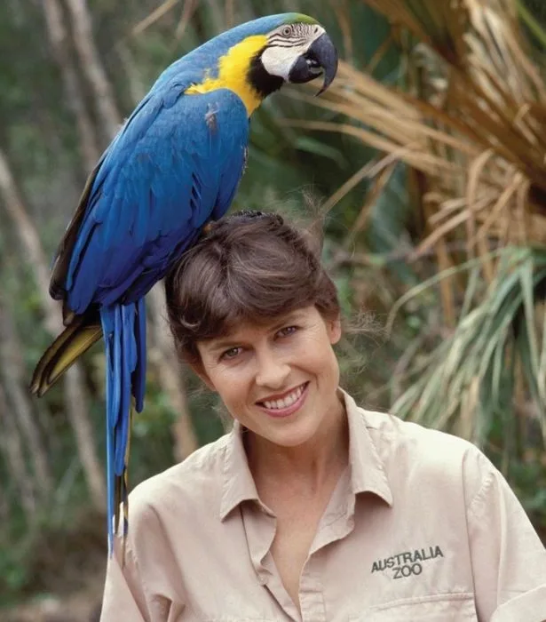 Terri Irwin