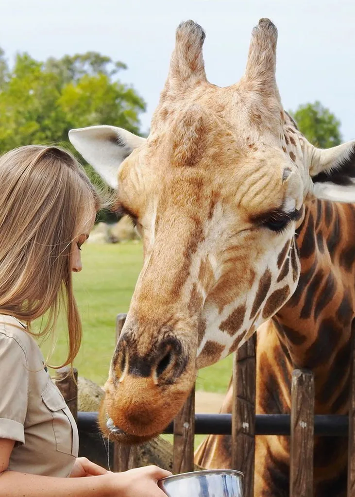 Bindi Irwin