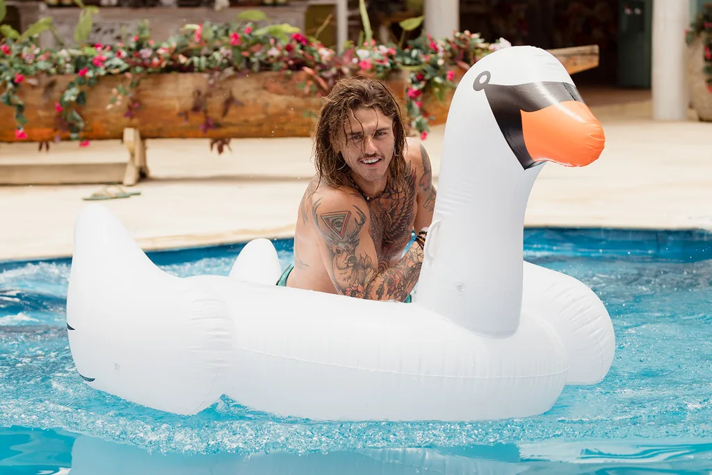 Timm Hanly swan