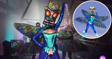 The Masked Singer Australia 2020: Who is Dragonfly?