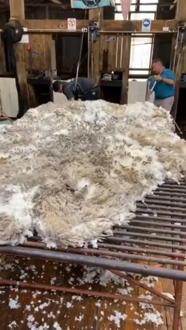 Winner of Farmer Wants A Wife accidentally given away in this Instagram video