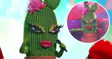 The Masked Singer Australia 2020: Who is Cactus?