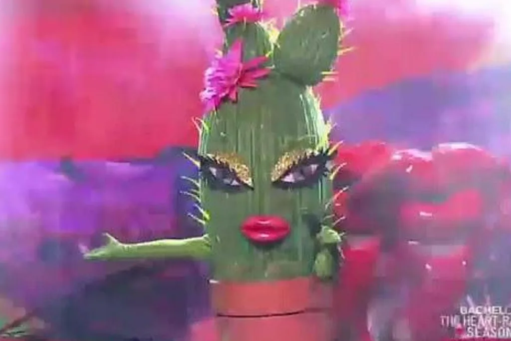 Masked Singer Cactus