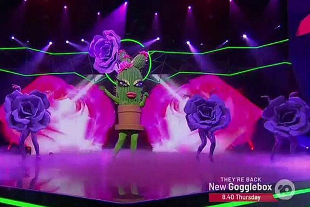 The Masker Singer Cactus