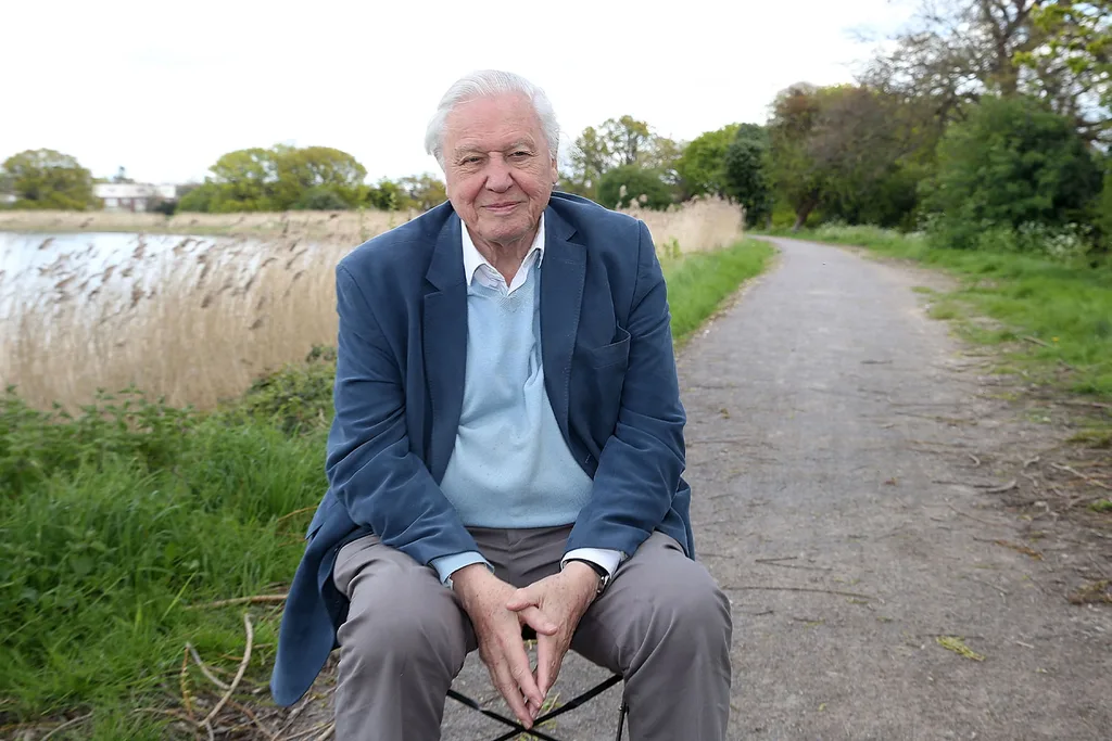 David Attenborough gift prince george