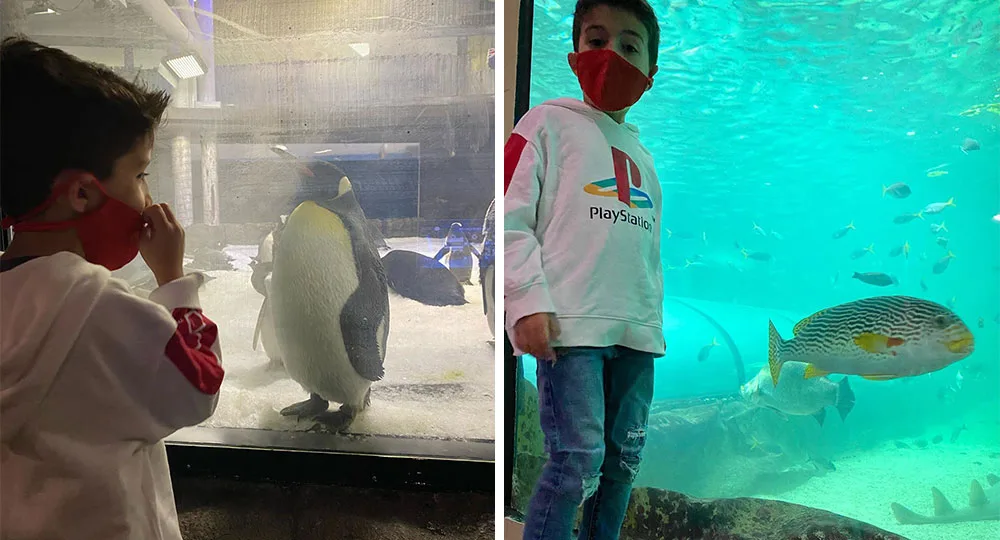 Ada Nicodemou son date aquarium