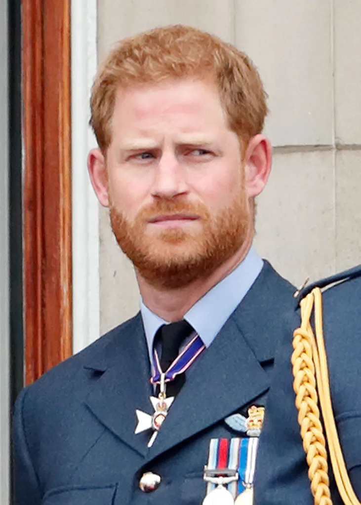 Prince Harry royal marine snub