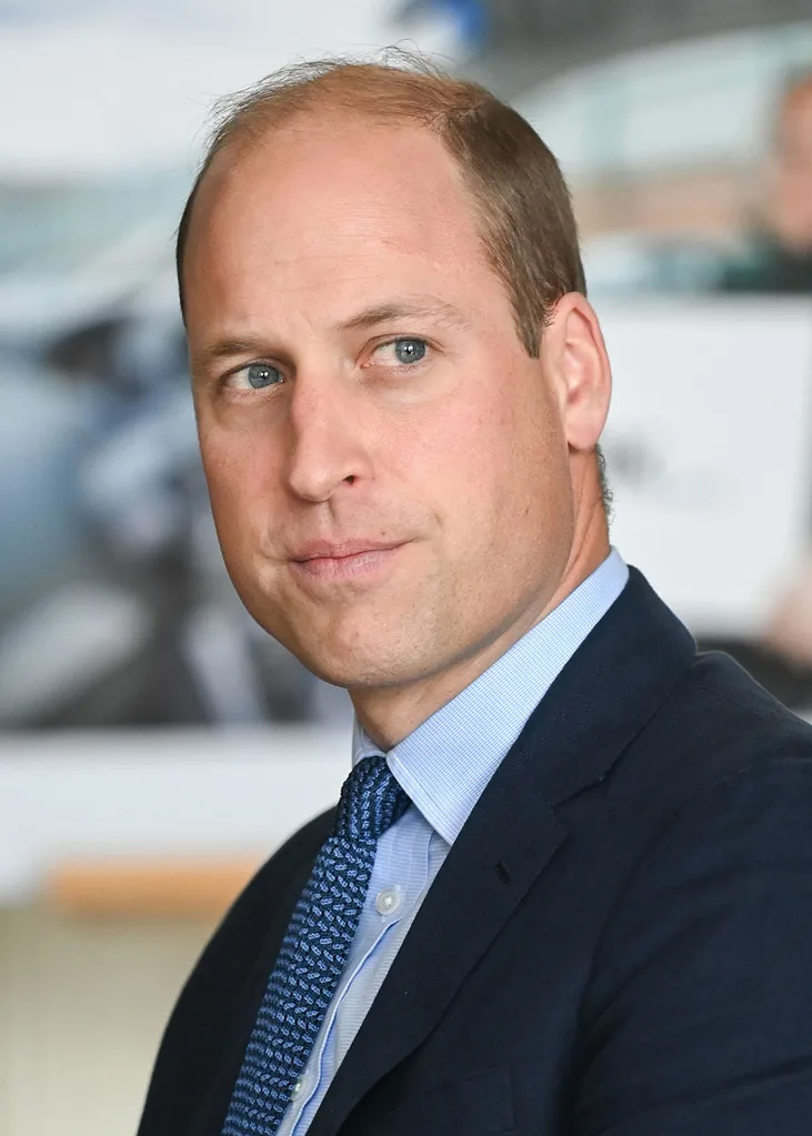 William and harry