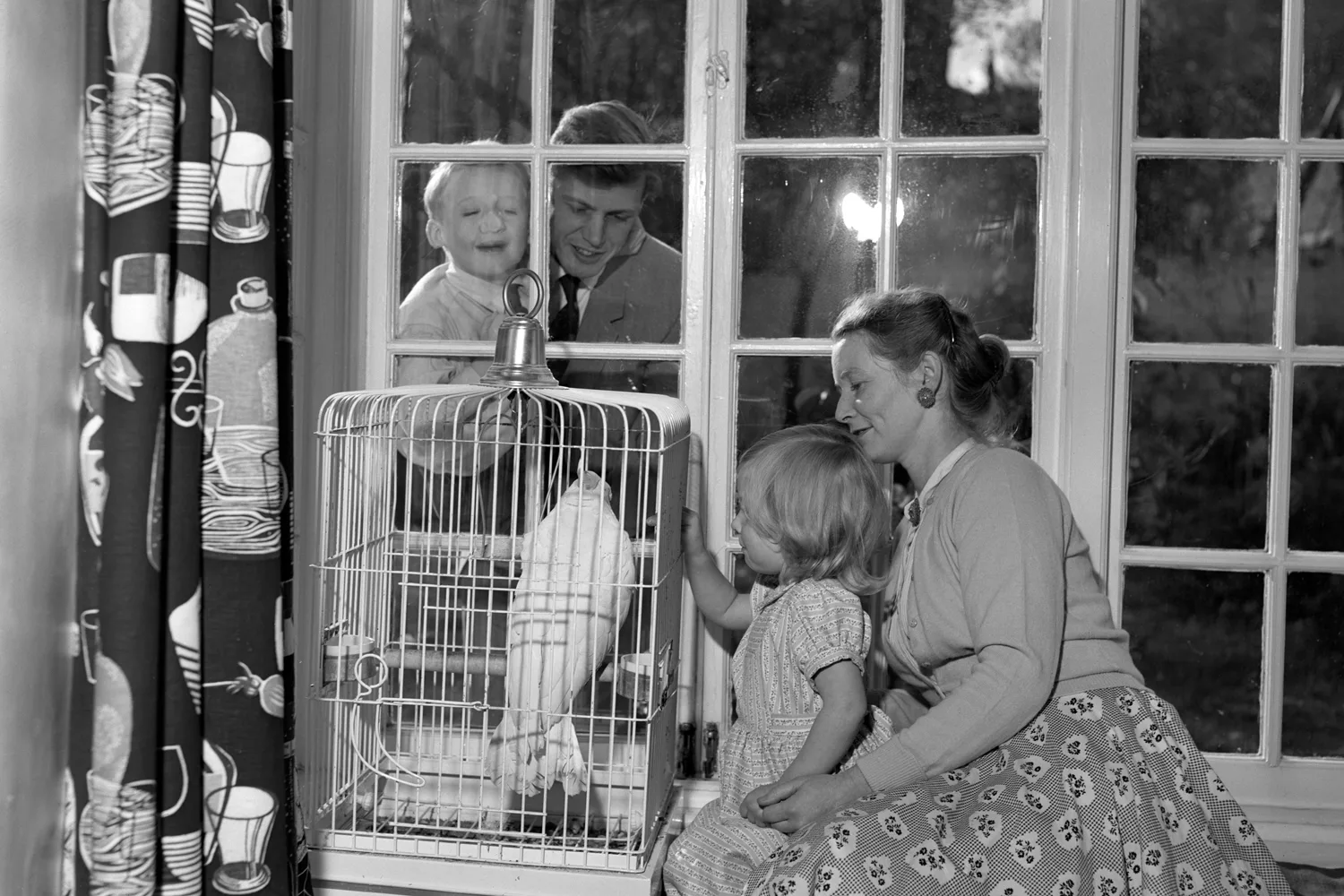 Meet David Attenborough's late wife Jane Elizabeth Ebsworth Oriel(02)