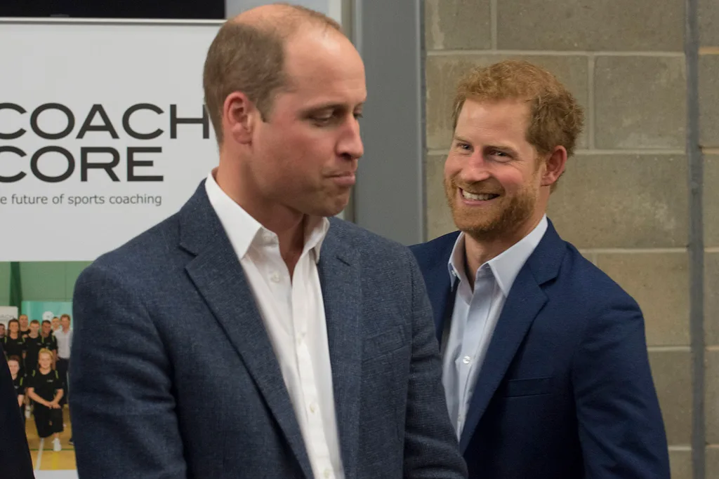 Prince Harry spare