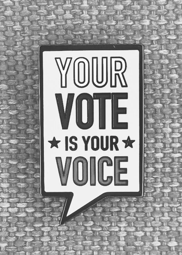 Chandler Powell vote Instagram US election Bindi