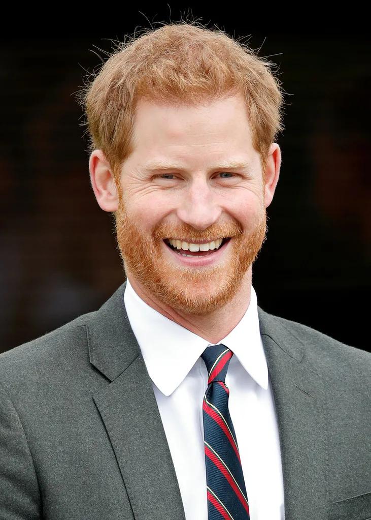Prince William King Harry