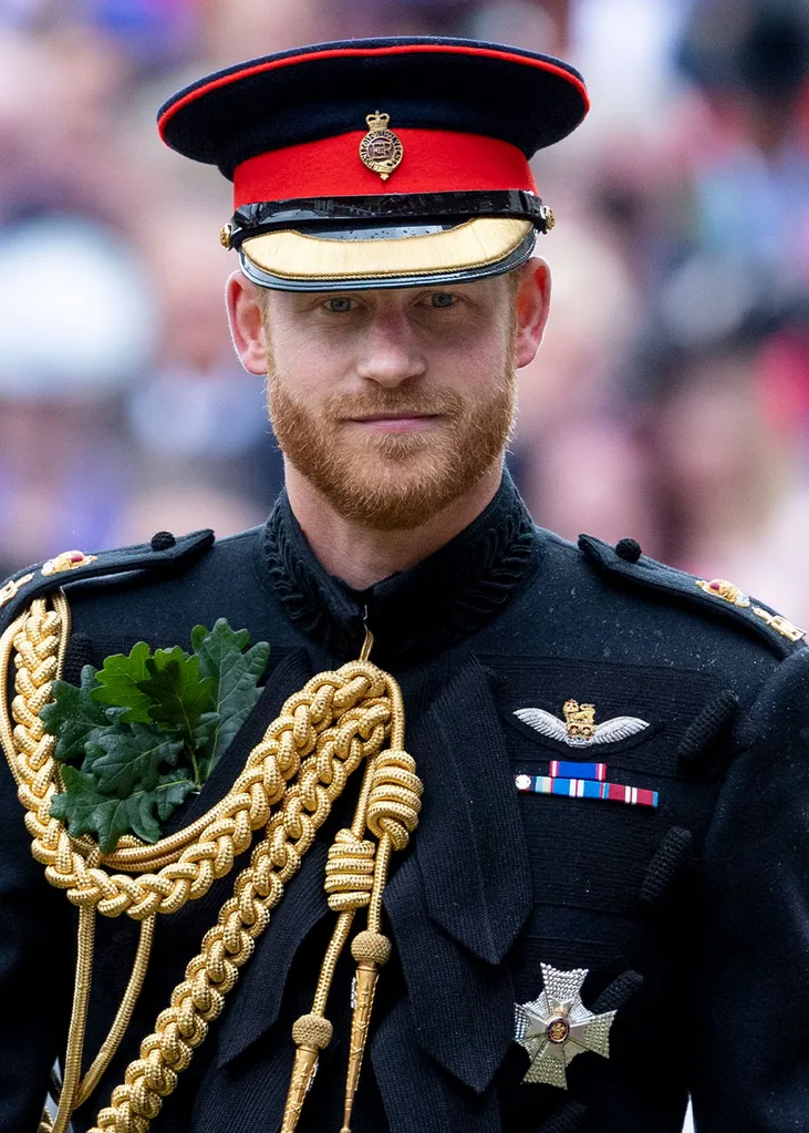 Prince William King Harry