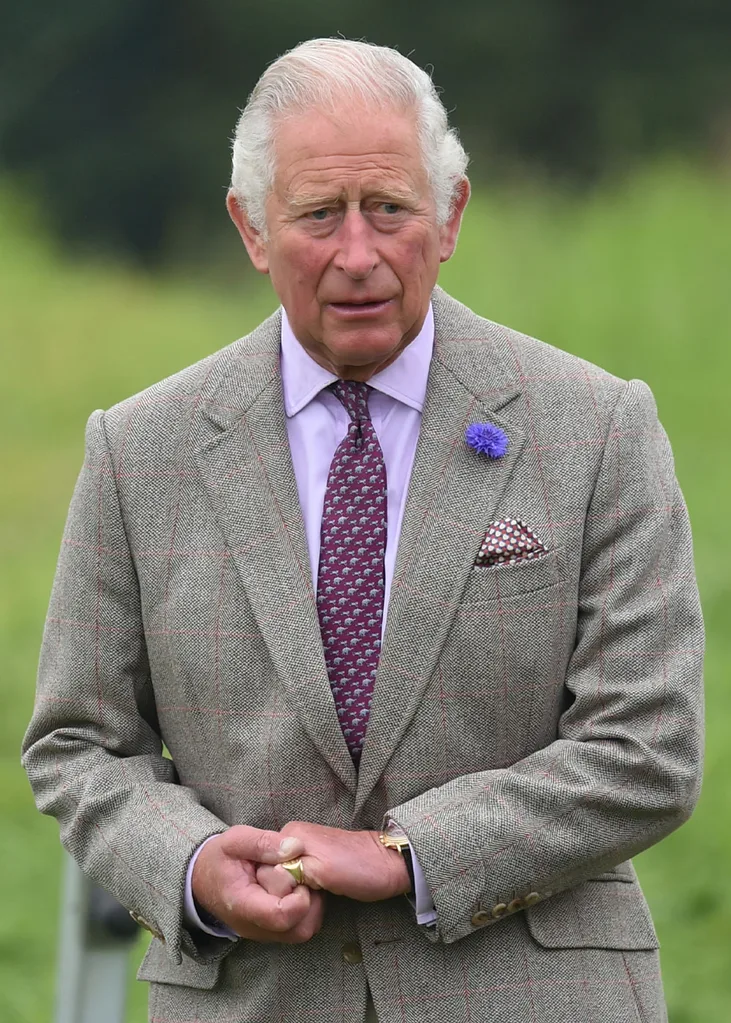 Prince Charles missing Prince Harry and baby Archie