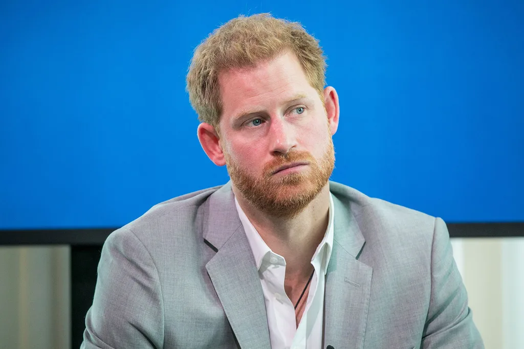 Prince Charles missing Prince Harry and baby Archie